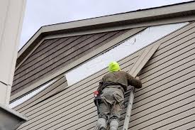 Best Siding Painting and Refinishing  in Indian Springs, GA